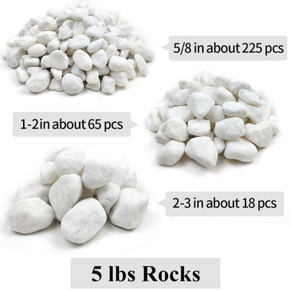 YISZM 5lb White Pebbles for Indoor Plants, 2-3 Inch Natural River Rocks, Snow White Decorative Stones, Ideal for Fish Tank, Vases, Crafting, Home Decor and Garden Landscaping Rocks