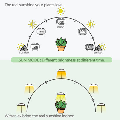LED Grow Lights for Indoor Plants 2 Pack, Smart USB Small Full Spectrum Plant Lights with Remote, Height Adjustable, Auto On/Off Timer, Ideal for Home Decoration, Black