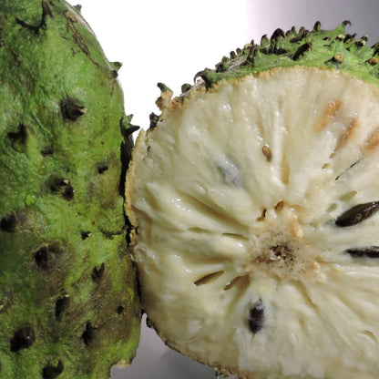 Soursop Tree Live Plant in 3 Gallon Pot, 3 Feet Guanabana Sweet Giant Soursop Fruit Tree 3 Years Old for Planting Outdoor