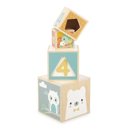 Janod J05147 First Wooden Pyramid - 6 Cubes Stacking Toy - Develops Dexterity and Imagination - Early Ages 12 Months from 12 Months, Multi-Coloured