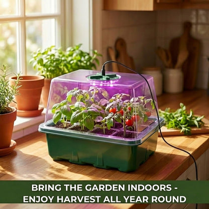 NACNO Seed Starter Kit with Grow Light, Elevated Seedling Tray Kit with Adjustable Humidity Dome and Clear Cell Tray, 12 Full Spectrum Led Beads for Seed Starting Greenhouse, 6 Pack, Green
