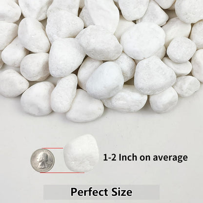 YISZM 5lb White Pebbles for Indoor Plants, 1-2 Inch Natural River Rocks, Snow White Decorative Stones, Ideal for Fish Tank, Vases, Crafting, Home Decor and Garden Landscaping Rocks