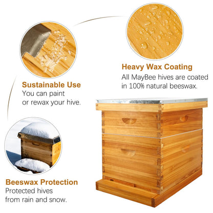 MayBee 8 Frame Screened Bottom Board Beehive Dipped in Original Beeswax, Bee Hives Kit Includes 1 Deep Box & 1 Medium Hive Box with Beehive Frames and Wax Coated Foundations