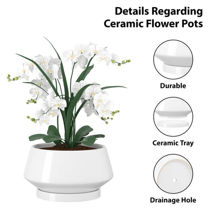 XiHuaer 8.3 Inch Ceramic Planter with Drainage Hole and Saucer, Indoor Outdoor Plant Pot for Plants, White