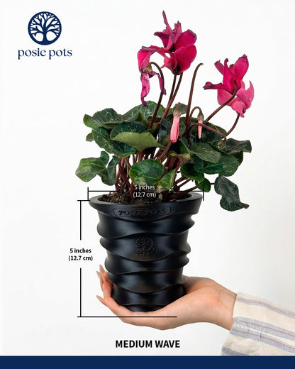 Posie Pot Medium Wave Self Watering Planter for Indoor Plants - 5x5 Inch Patented Pot with 10X Water Reservoir - Modern 3D Printed Desk Planter - Root Rot Free - Eco Friendly, Made in USA, Black