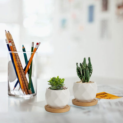 ZOUTOG 12 Pack Succulent Pots, 2.5 Inch White Mini Ceramic Planters with Drainage Hole, 2.5 inch Square Pattern Ceramic Planters, Plants Not Included