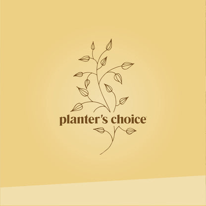 Bonsai Starter Kit - Gardening Mothers Day Gifts for Women & Men - Bonsai Tree Growing Garden Crafts Hobby Kits for Adults, Unique DIY Hobbies for Plant Lovers - Unusual Gifts Ideas Mom, Her, Friend