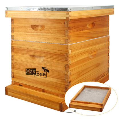MayBee 10 Frame Screened Bottom Board Beehive Dipped in Original Beeswax, Bee Hives Kit Includes 1 Deep Box & 1 Medium Box with Beehive Frames and Wax Coated Foundations