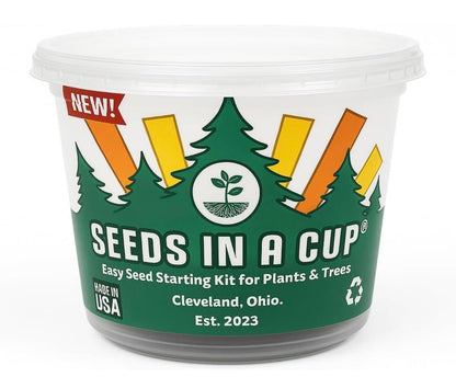 Date Palm | Seeds In A Cup: Date Palm Tree Starter Kit | Easy to use | Educational | Thoughtful Gift | Great Gift Idea | Plant It for The Planet | Grow Your Own Tree |