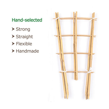 Cambaverd Trellis for Climbing Plants Indoor Outdoor, Natural Bamboo Trellis 24 Inch, 3 Pack Garden Trellis for Potted Plants, Ivy, Monstera, Houseplants