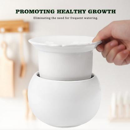 LITUDISO African Violet Pots, 6 Inch Self Watering Pots for Indoor Plants, Self Watering Plant Pot, Easy Plant Self Watering Pot, Ceramic Plant Pot with Absorbent Inner Pot for Flowers-White
