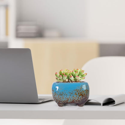 ARTKETTY Succulent Pots - Small Succulent Plant Pot with Drainage Set of 6, Ceramic Cactus Planter Pots for Indoor Unique Flower Planter Container for Home Office Decor