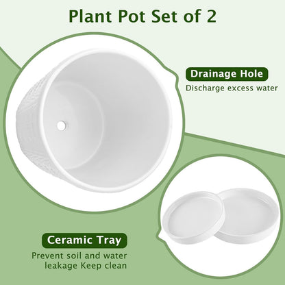 COLOAPT Ceramic Planter,5+6 Inch Ceramic Flower Pots with Drainage Hole&Tray,Embossed Seashell Design Plant pots,Planters for Indoor Plants Succulent Cactus,Flower Pot Home Decor-Set of 2,White