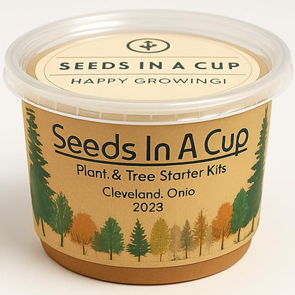 Date Palm | Seeds In A Cup: Date Palm Tree Starter Kit | Easy to use | Educational | Thoughtful Gift | Great Gift Idea | Plant It for The Planet | Grow Your Own Tree |