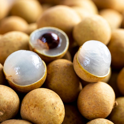 Sweet Longan Tree Live Plant, Longan Fruit Tree, Well Rooted, 3 Gallon Pot, 2-3 Feet Tall, Tropical Fruit Tree for Backyard and Garden, No Ship to CA