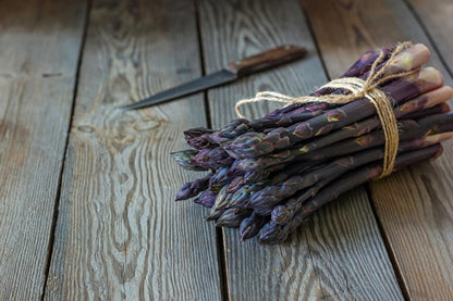 Purple Passion Asparagus Bare Root Plants to Grow - 2yr Crowns - Grow Colorful and Delicious Purple Asparagus (20 Crowns)