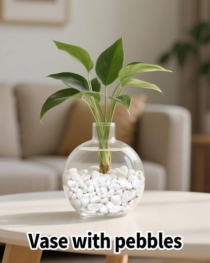 FAHAXIKI 6LB White Succulent & Cactus Gravel Pebbles - 1/4-3/8 Inch Natural Polished River Rocks, Decorative Stones for Plants, Terrariums, Vases, Aquariums & Outdoor Gardening