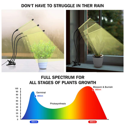 bseah Grow Light Plant Lights for Indoor Plants, Full Spectrum Led Growing Lamp with 3/9/12H Timer, Auto ON & Off, 10 Dimmable Lightness Clip-On Desk