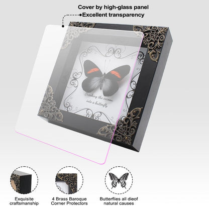 Butterfly Framed Decoration Handmade Taxidermy Butterfly Shadow Box Collection Framed Butterfly Taxidermy for Gothic Home Decor