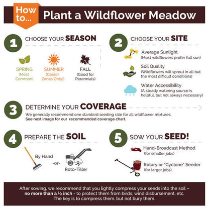 UtopiaSeeds White Wildflower Seed Mix - Attracts Hummingbirds and Butterflies - Easy to Grow