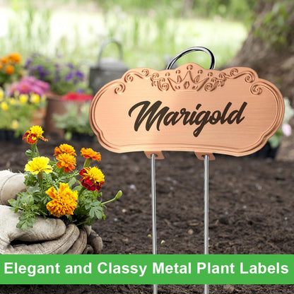 TCYPUHL Metal Plant Labels,Tall Outdoor Garden Markers for Flower, Fruit and Vegetable, 304 Stainless Steel Weatherproof Signs (25 Packs, 4" x 1.9", Gold)