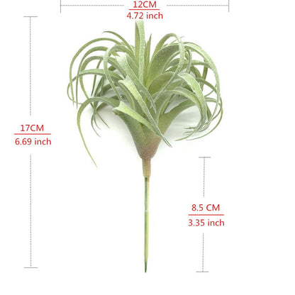 EBUYOM 2 PCS Artificial Succulents Plants Real Touch Lifelike Succulants Plants Faux Greenery Plants Garden DIY Home Office Decoration Ornament (Flocking Air Plant)