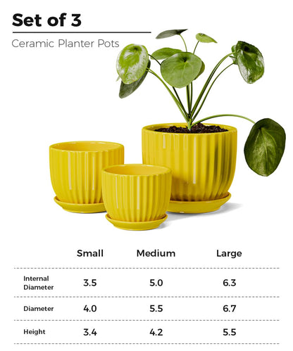 Ton Sin Ceramic Flower Pots,Yellow Plant Pots for Indoor Plants,4.1+5.1+6.5 inch Ceramic Plant Pots with Tray,Medium Indoor Planters for Aloe Cactus Decorative Pots with Drainage Hole (Set of 3)
