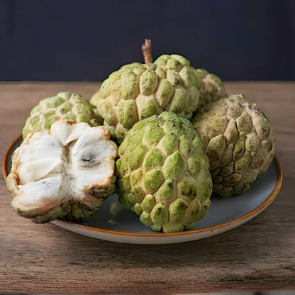 Green Sugar Apple Tree Live Plant, Tropical Custard Apple Fruit Plant, 1-2 Ft Tall in 1 Gallon Pot, Hardy, Cold Climate Ready, No Ship to CA,HI,AK