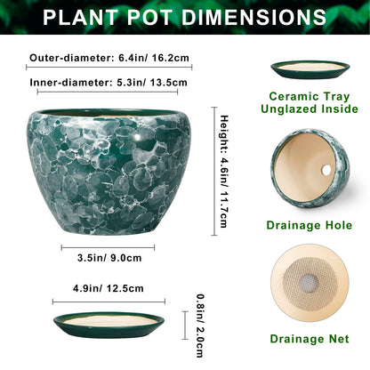 Thirtypot 6 Inch Planter - Ceramic Plant Pots Indoor with Drainage Hole and Saucer, Indoor Plant Pots for Flowers Plants, Round Modern Small Planter, Bedroom Decor, Plants Lover Gift, Bubble Green