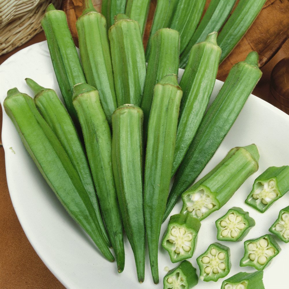 TomorrowSeeds - Clemson Spineless Okra Seeds - 1/2 Pound ~ 4000+ Count - For 2026 Planting USA Garden Vegetable Southern Okras Non-GMO Heirloom Grow Your Own Home Farm Patio Healthy Sustainable Living