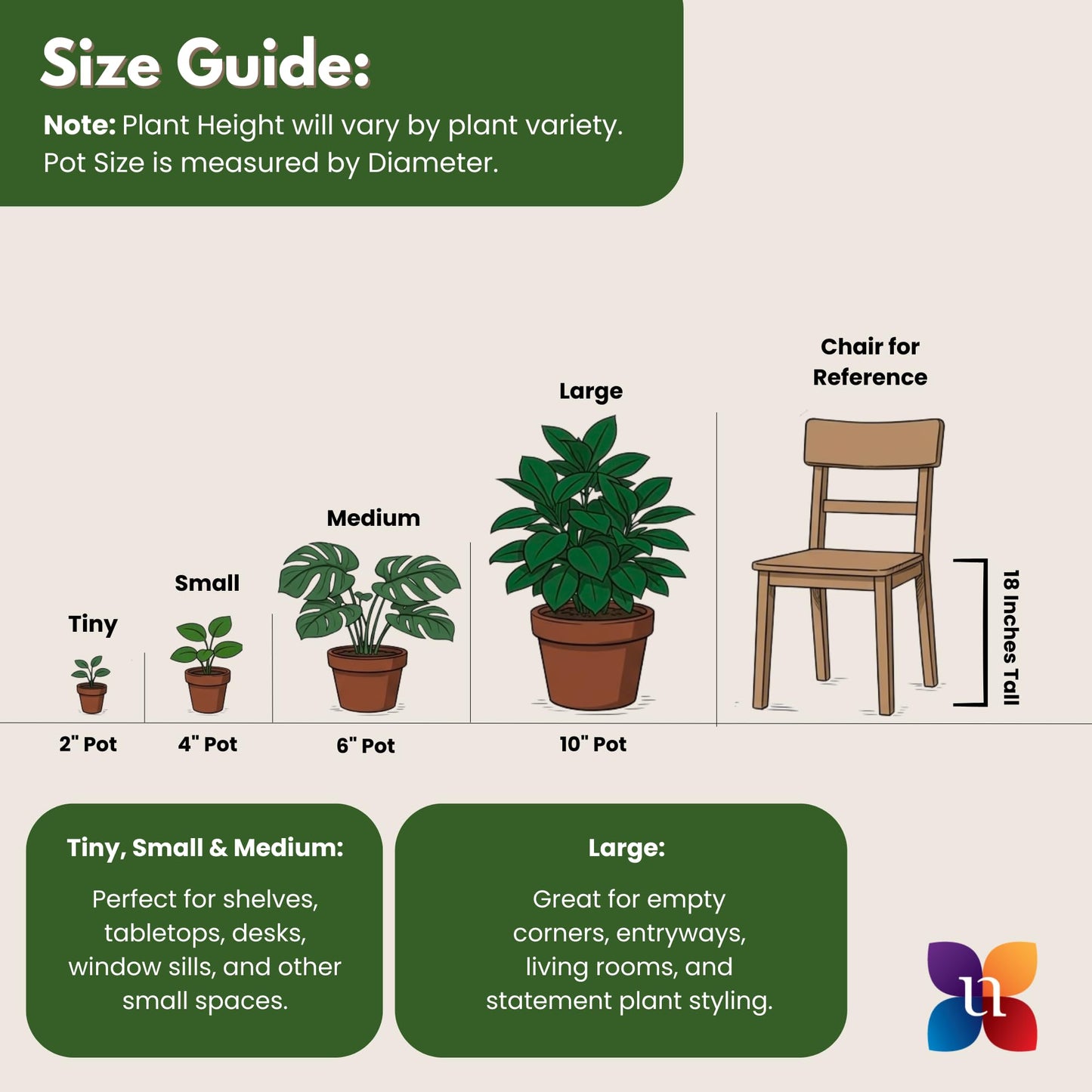 Dracaena Janet Craig Live Plant, 38–42 inches Tall in 10 inch Pot, Low Light Tropical Indoor Tree, Easy Care Air Purifier Plant for Home, Office and Interior Decor by United Nursery