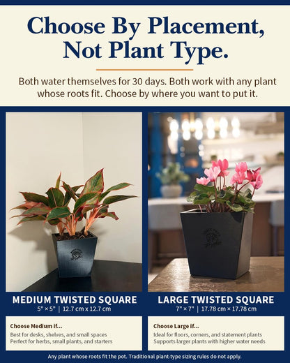POSIE3DPRINTS Posie Pot Medium Twisted Square - Self Watering Planter 5x5 Inch - Indoor Plant Pot with 30 Day Reservoir - 3D Printed Bioplastic - No Guilt Plant Care - Made in USA, Gold