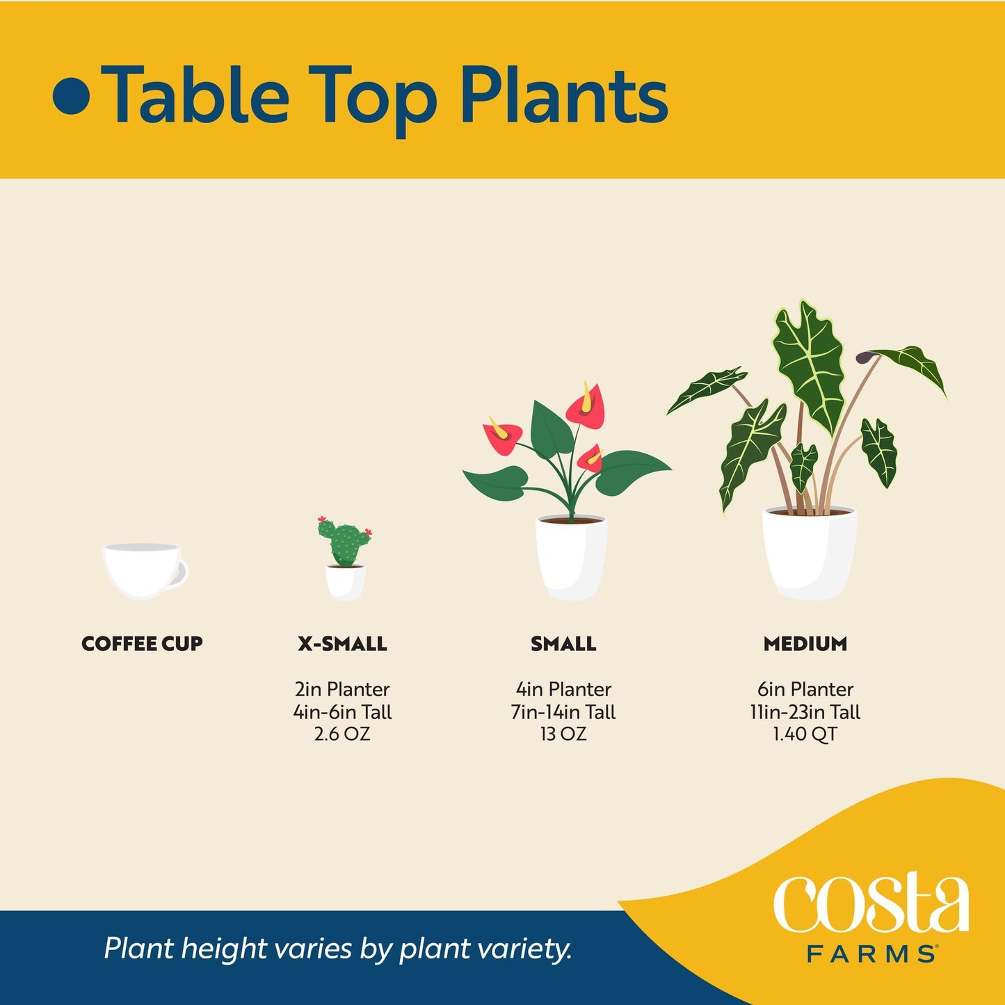 Costa Farms Scindapsus Live Plant, Curated Grower's Choice in Self-Watering Pot, 9-12 Inches Tall, Low Light Vining Indoor Houseplant, Rare Variegated Foliage for Office & Home Decor