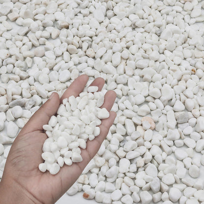FAHAXIKI 12LB White Succulent & Cactus Gravel Pebbles - 1/4-3/8 Inch Natural Polished River Rocks, Decorative Stones for Plants, Terrariums, Vases, Aquariums & Outdoor Gardening