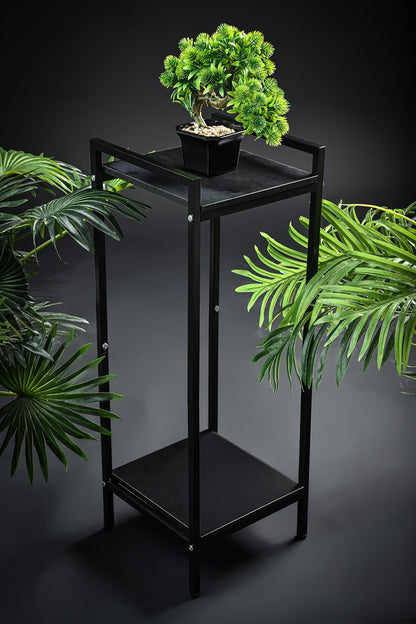 GOLDSRON Tall Plant Stand for Indoor Plant: 2 Tier Metal Modern Small Single Plant Shelf - Floor Flower Storage Side Table Holder for Living Room Balcony Garden
