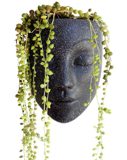 Bossa Linda Wall Planter | Unique Face Planters Pots - Plant Gifts for Indoor Plant Lovers Gift Ideas - Succulent Plant Gift - Tranquilo Black