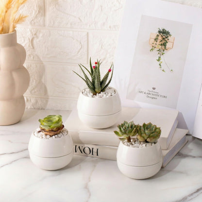 Willowy 3.5 Inch Small Succulent Pots - 3pk, Mini/Small White Ceramic Succulent Pots - No Plants Included