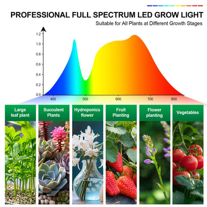 FRGROW Clip Grow Lights for Indoor Plants, Seed Starting, Bonsai, 4/8/12/16/20H Timer, Full Spectrum Plant Growing Lamps, 27 Watt Power Draw, NO Need Adapter, 360° Gooseneck