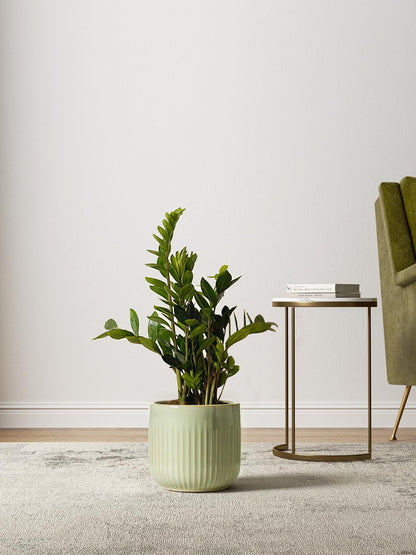 LE TAUCI Ceramic Pots for Plants, 8.3/7/6 Inch Indoor Planters with Drainage Holes & Mesh, Modern Glossy Glaze Cylinder Fluted Plant Pot for Snake Plant, Set of 3, Sage Green