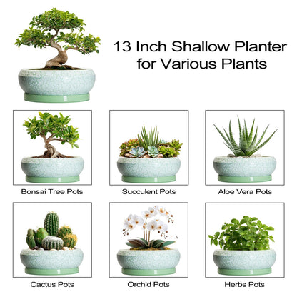 EPFamily Bonsai Pots - 13 Inch Ceramic Succulent Pots for Indoor Outdoor, Large Shallow Planter with Drainage Hole and Saucer, Round Flower Succulent Planter, Patio Decor, Gifts for Women, Green