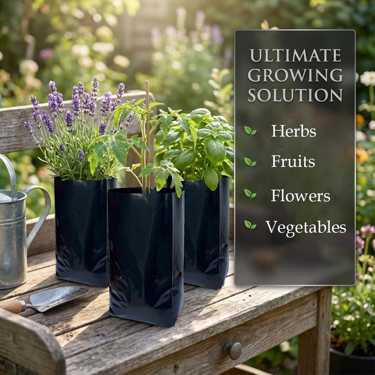 gardtree 100 Pcs Thicken Seedling Nursery Bags, 3.9" x 8" Deep Plastic Grow Bags with Drainage Holes, Heavy Duty Plant Starter Pots for Vegetables, Flowers, Succulents and Cuttings