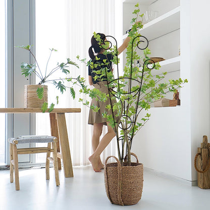 ZHDOKA 30in Tall Metal Plant Trellis, 2pcs Iron Potted Plants Trellis Black Metal Climbing Plants Trellis Indoor Garden Plants Trellis for Vine Ivy Flower Plant Support