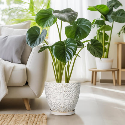G EPGardening 10 Inch Ceramic Planter Pot with Drainage Hole and Saucer Large Plant Pot for Indoor Plants Outdoor Round Flower Pot for Home Garden Office White