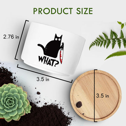 Jutasty Funny Black Cat Plant Pot for Succulent, Cactus Flower Planter for Indoor Plants, Unique Succulents Pots with Drainage, Cats Owner Gifts, Home Desk Decor Planter Gift for Cat Lover (No Plants)