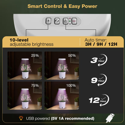 Raygrov Self-Watering Planter with Grow Light — Cute Desk Plant Pot for Office, Bedroom & Window — No Green Thumb Needed, 2-in-1 Wall + Desktop, USB Powered (5W LED, White)