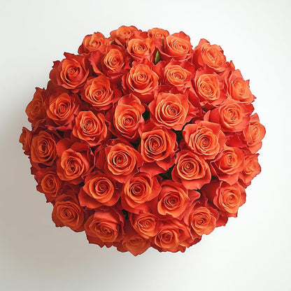 GlobalRose 75 Orange Roses Bouquet - Responsibly Sourced Roses Fresh Flowers - Hand-Picked Flowers Fresh Bouquet for Graduation, Anniversary, Birthday & Special Occasions (3 Bunches of 25 Stems)