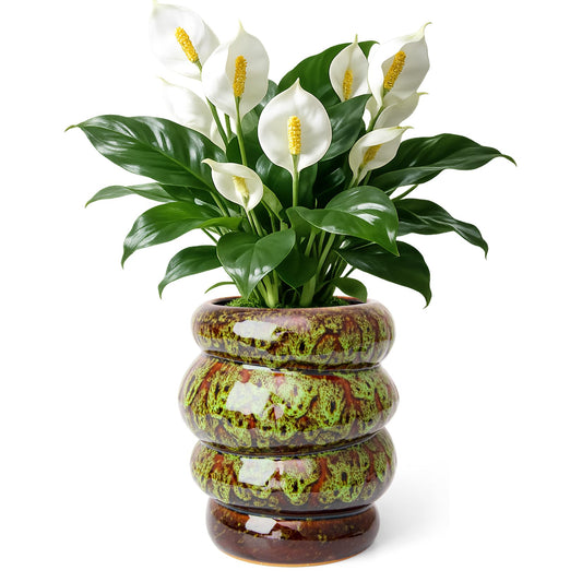 YINUOWEI Ceramic 5 inch Plant Pot - Planter for Indoor Plants with Drainage Hole, Flower Pots for Orchid, Succulent,Outdoor Plants, Modern Glaze Planters for Home Office Decor Gift
