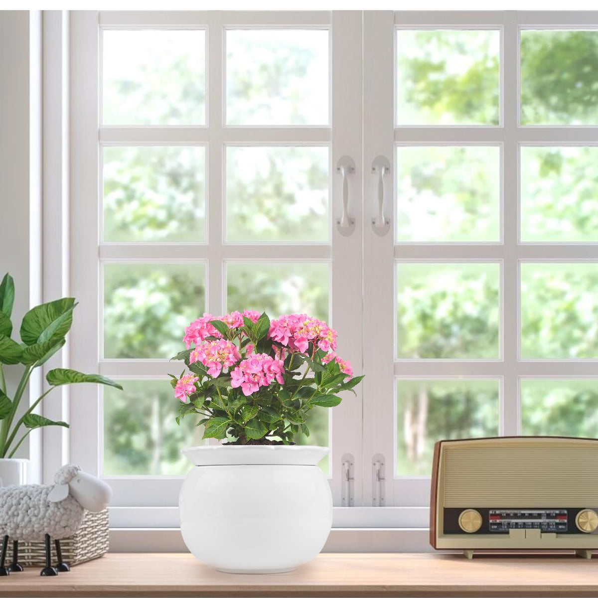 BUYMAX African Violet Pots, 6 inch Ceramic Easy Self Watering Plant Pot for Busy Plant Lovers, Automatically Absorb Appropriate Amount of Water, Flower Pot Indoor-Plants Not Included