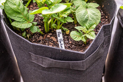 Gardzen 6 Pack BPA-Free 10 Gallon Vegetable Grow Bags with Access Flap and Handles, Suitable for Planting Potato, Taro, Beets, Carrots, Onions, Peanut