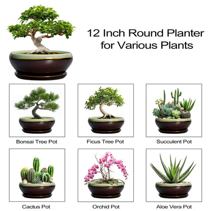 SQOWL Bonsai Pots 12 Inch - Large Ceramic Pots for Succulents with Drainage Hole and Saucer, Shallow Planter for Indoor Plants Outdoor, Round Planter Bowl, Office Decor, Gifts for Women, Green-Brown